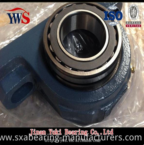 Syr1.15/1.16 Pillow Block Bearing with Cast Iron Housing
